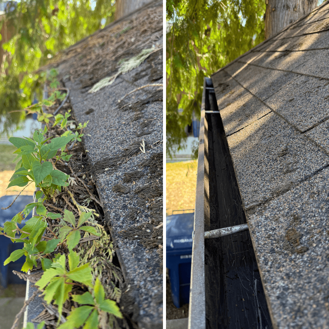 Gutter Cleaning Near Me