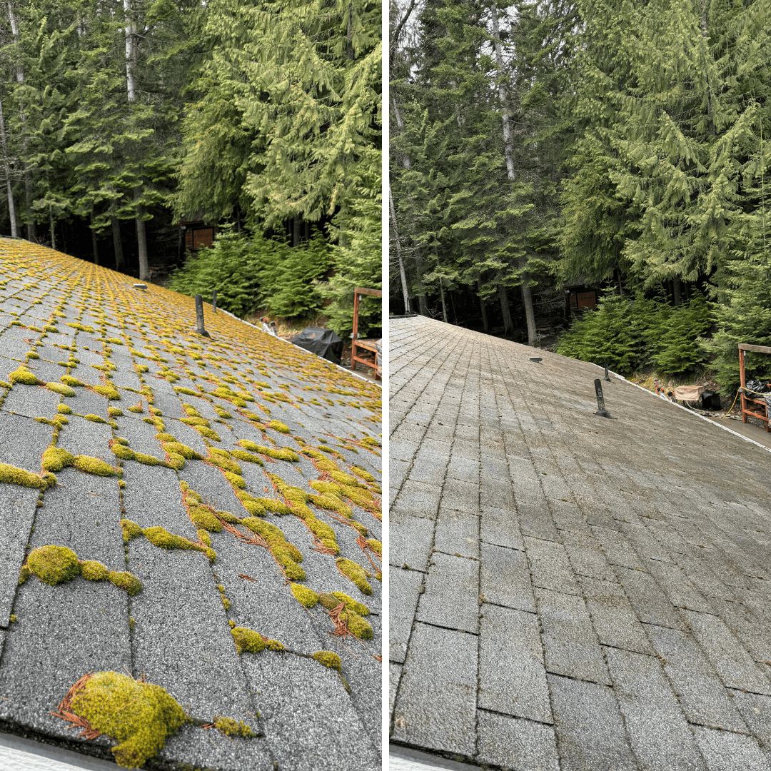 Moss Removal in Hayden, ID