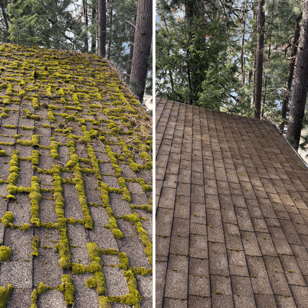 Moss Removal Near Me